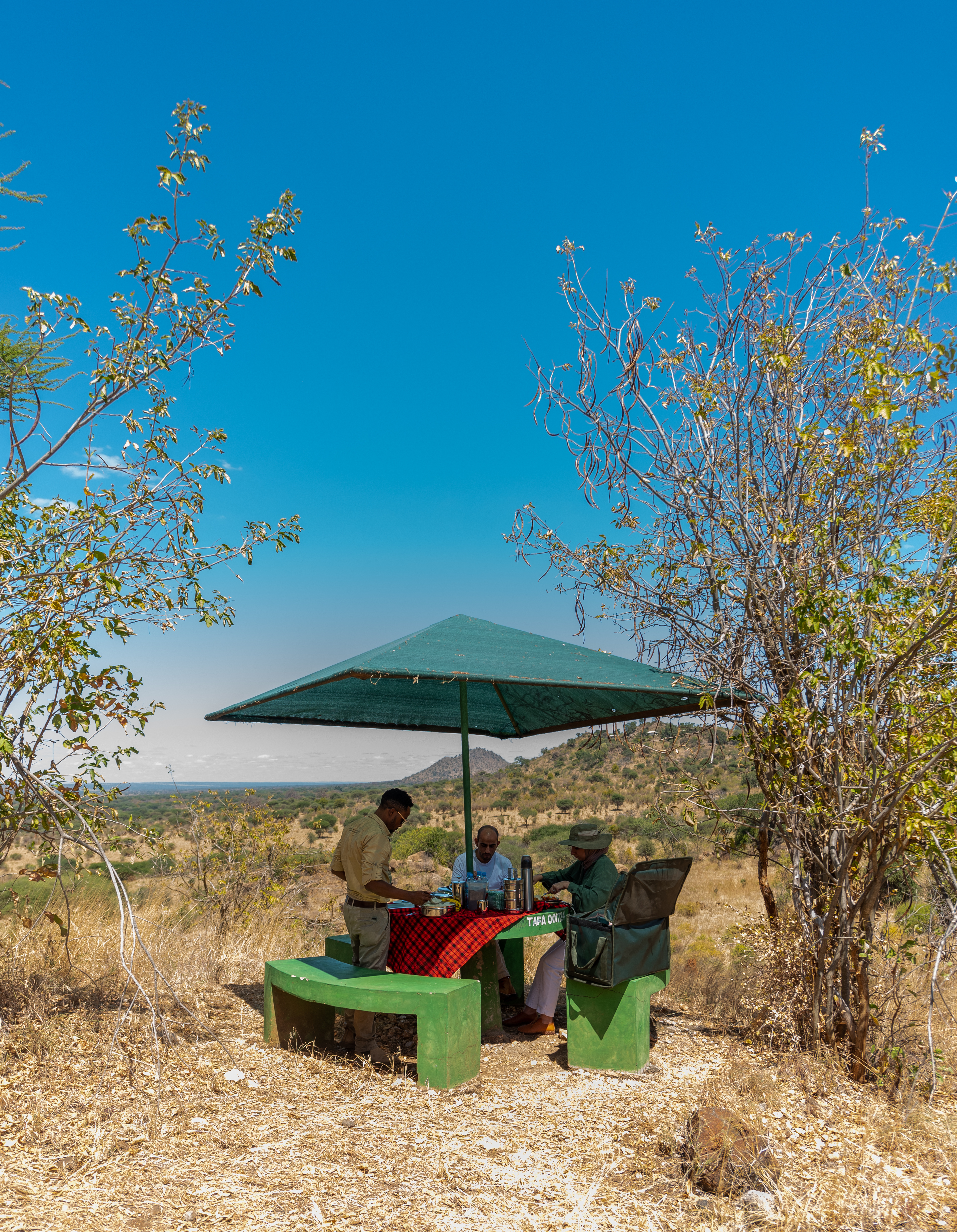 African Safari Experience