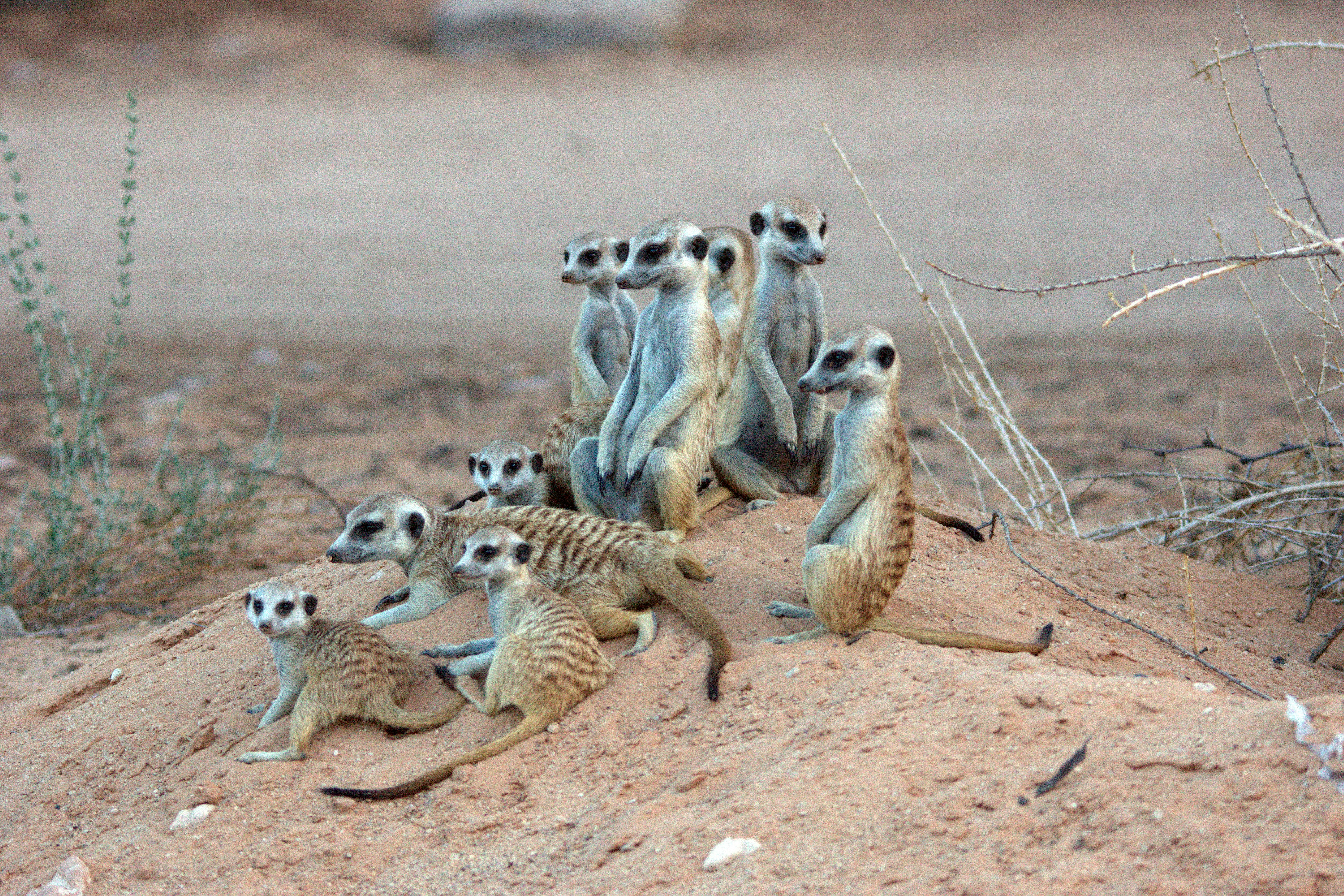 Luxury Madagascar Tour