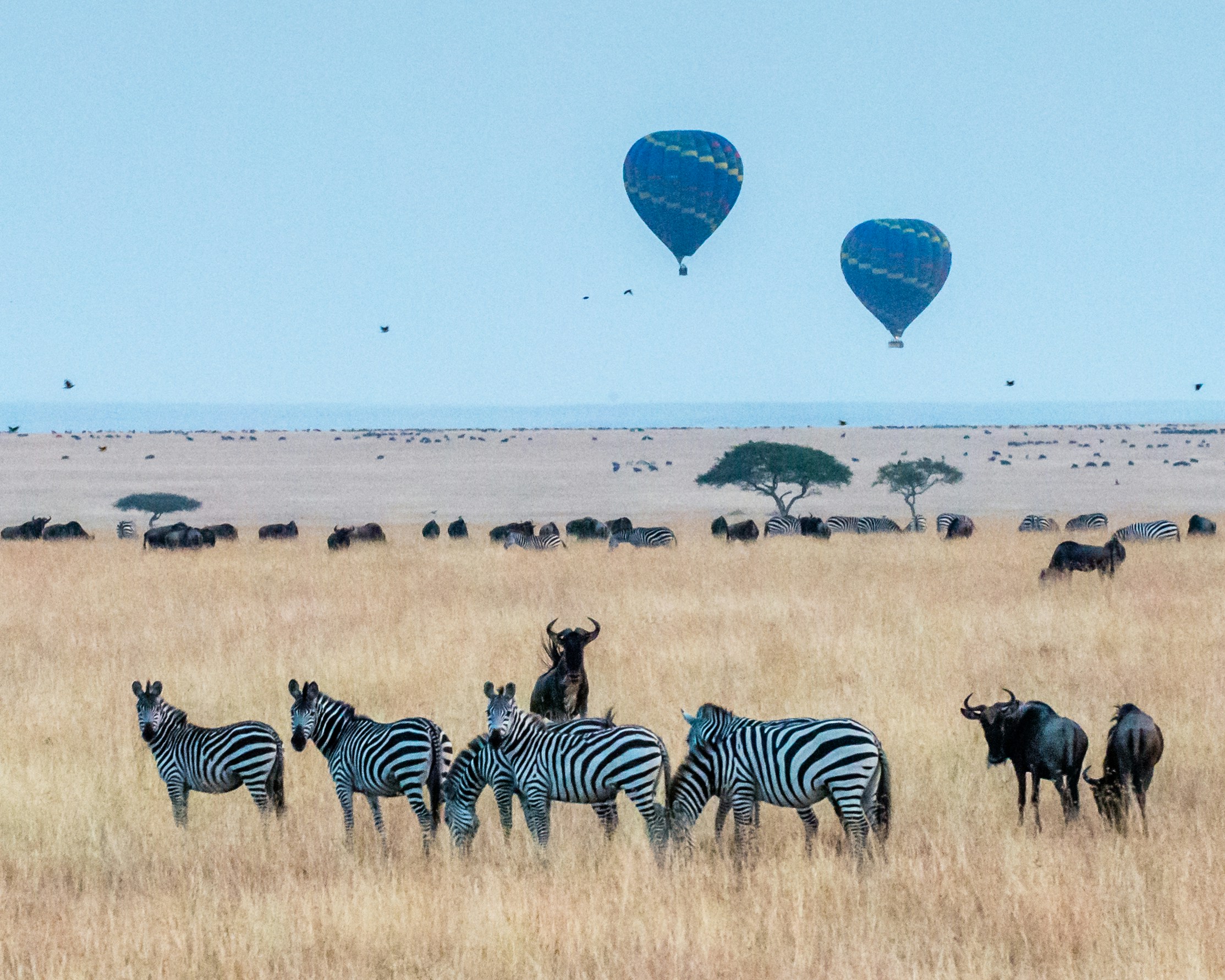 Tanzania Safari Landscape
